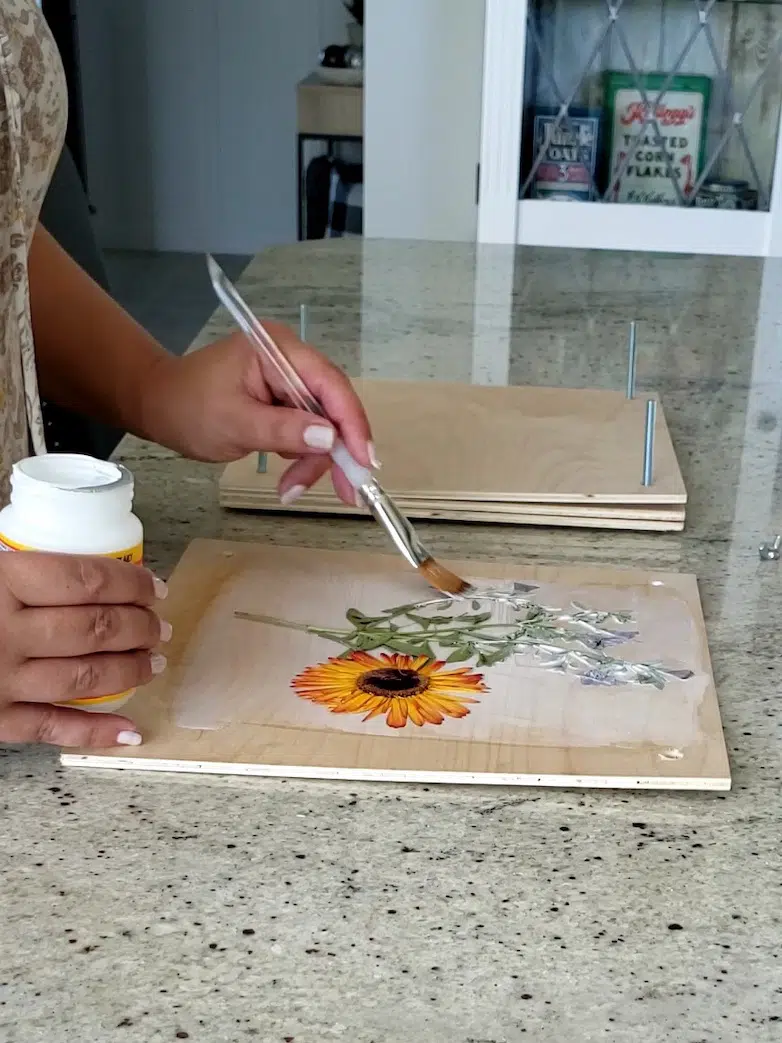 Painting modpodge on dried flowers